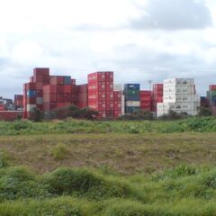 Porto seco e recinto alfandegado: o que são e para que servem